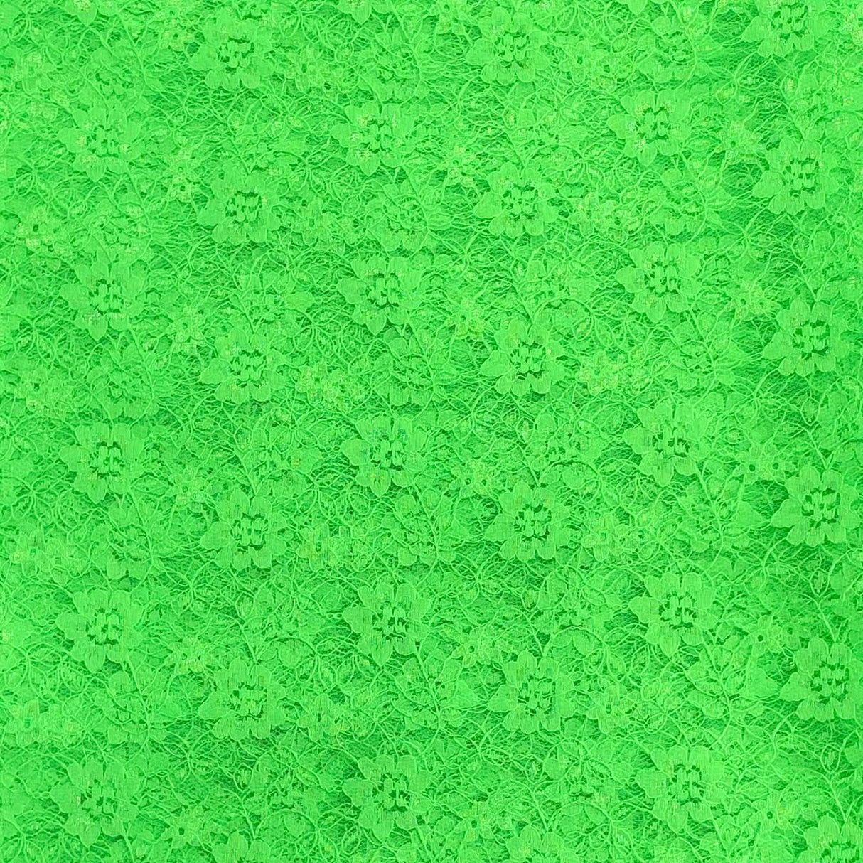 Pound A Metre 10 Metres, Floral Rachelle Lace - 45" Wide (Green)