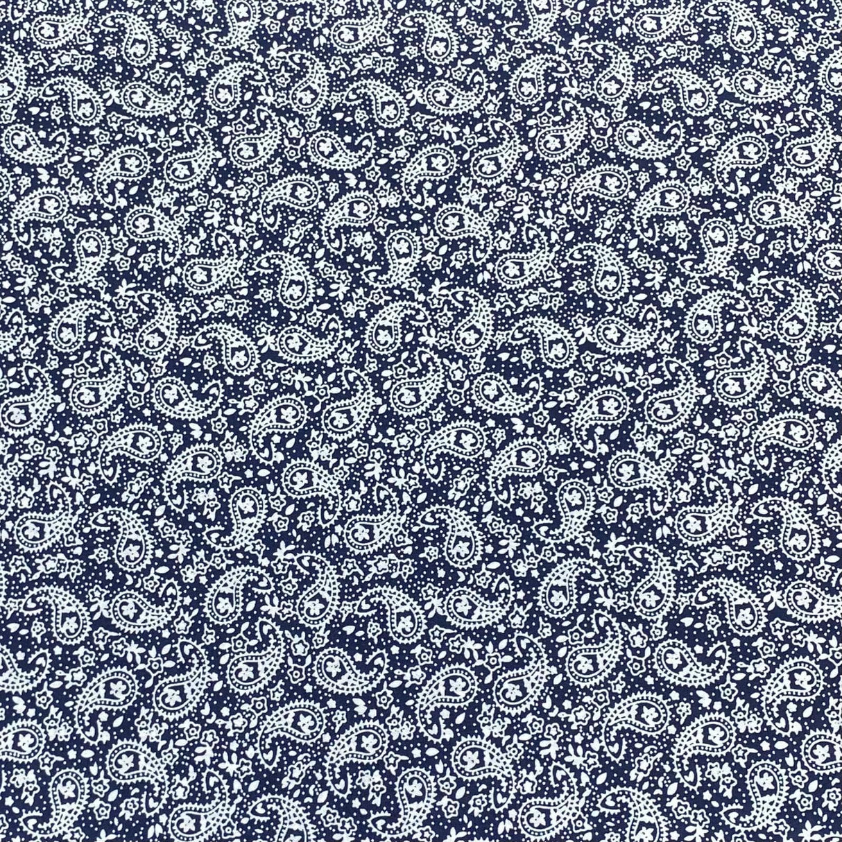 Pound A Metre 3 Metre 3 Metres Luxurious Solara Crepe 55" Wide (Paisley)