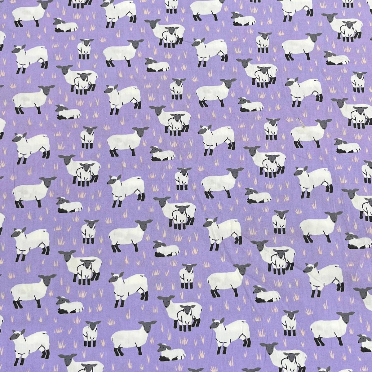 Pound A Metre 3 Metres Luxury Cotton Poplin Fabric – 60'' Wide (Sheep)