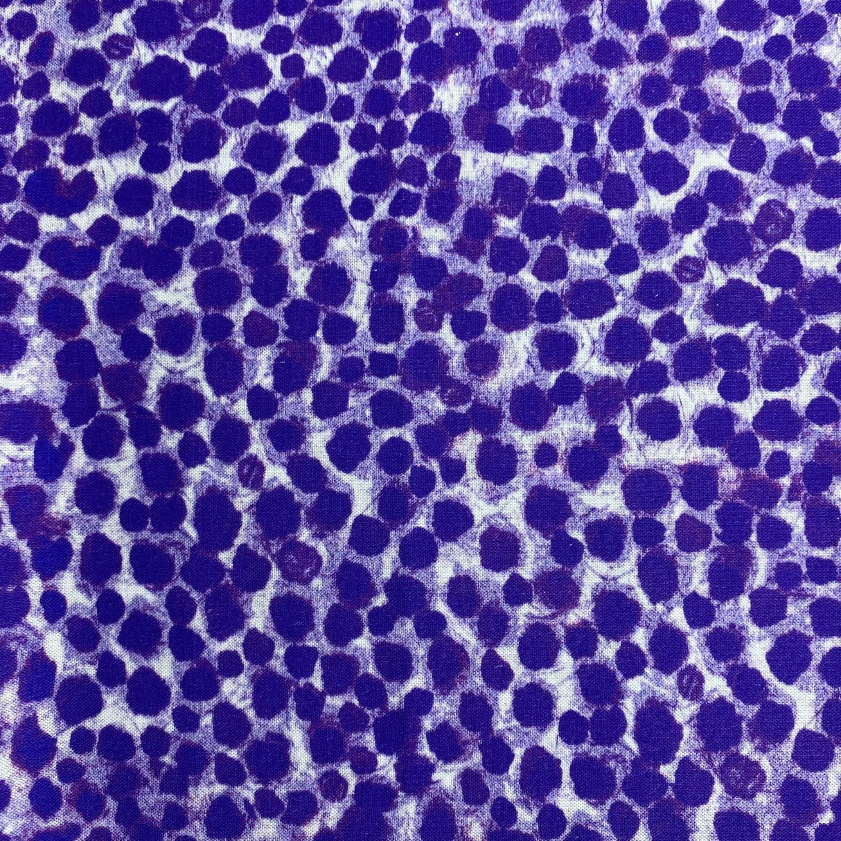 Pound A Metre 5 Fat Quarters 5 Piece Fat Quarter Bundle - 100% Cotton (Purple & Teal)