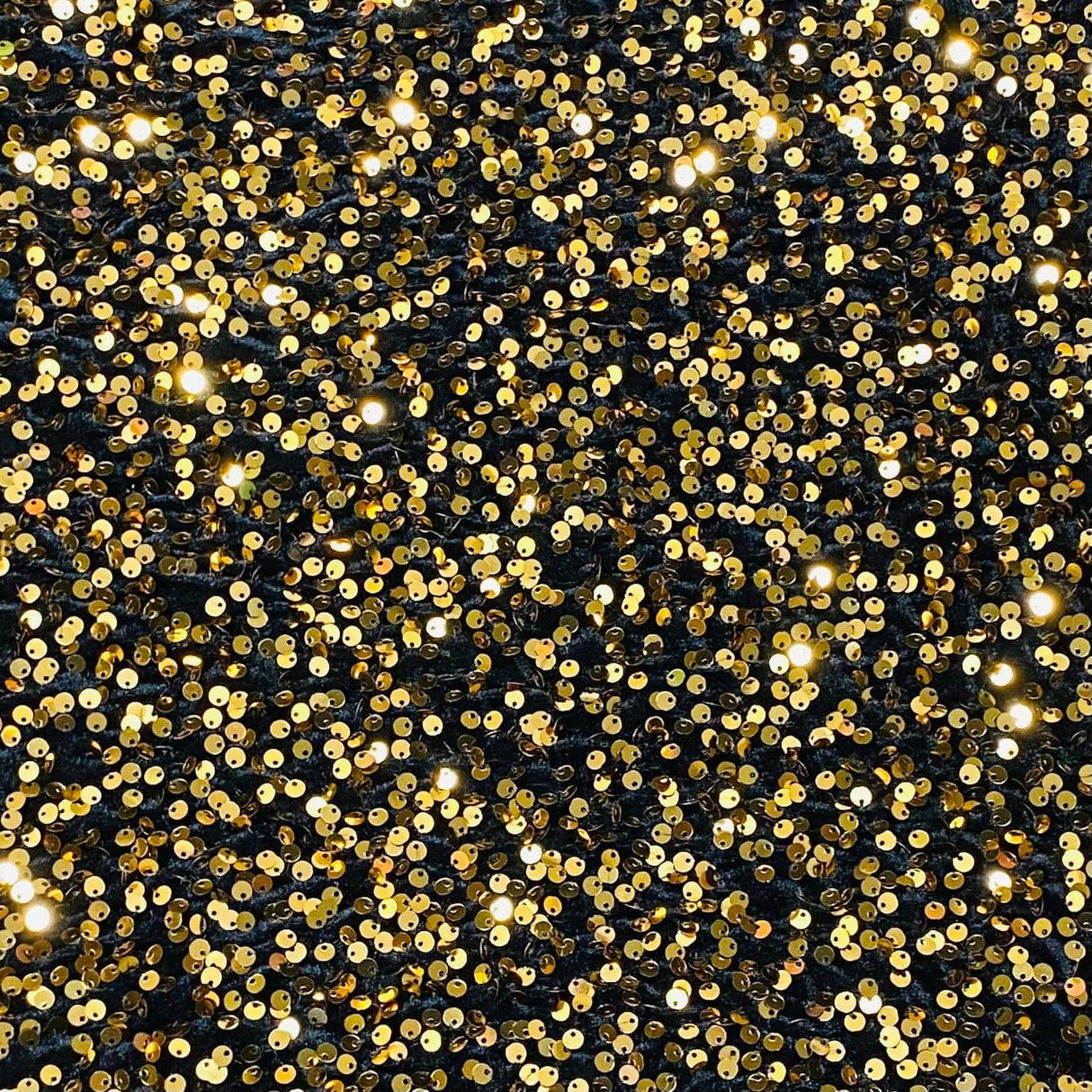 Pound A Metre Per Metre Luxurious Sequins On Velvet- 55" Wide - (Black & Gold)