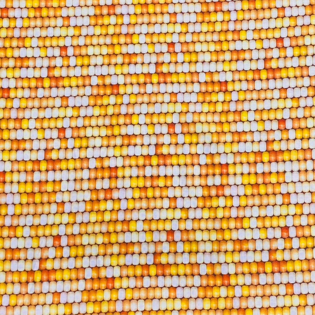 Pound A Metre Per Metres Per Metre 100% Digital Cotton Print - (Honey)