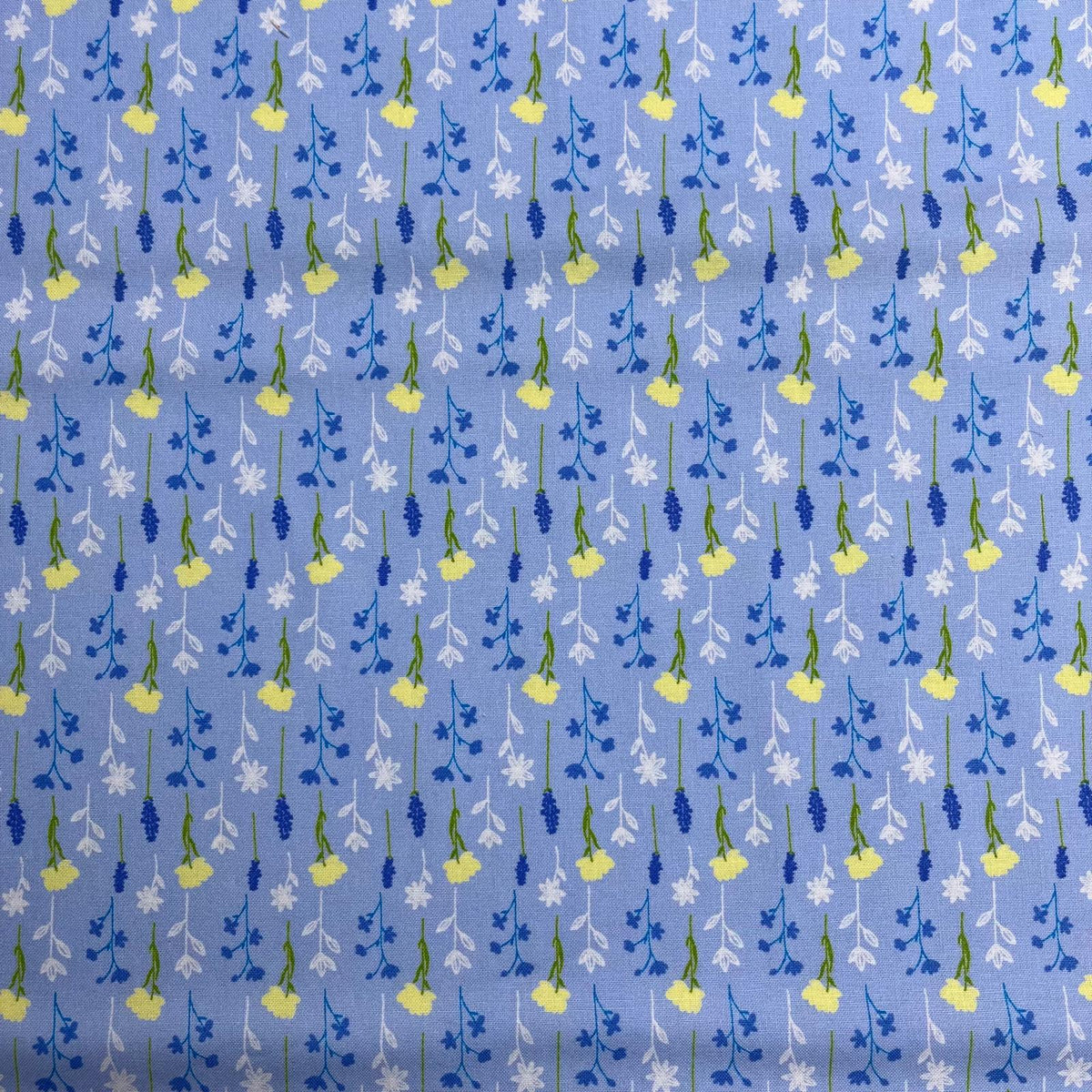 Pound A Metre Design 35 Per Metre Clearance Digital Cotton 45'' Wide (Over 40 Variation Available)