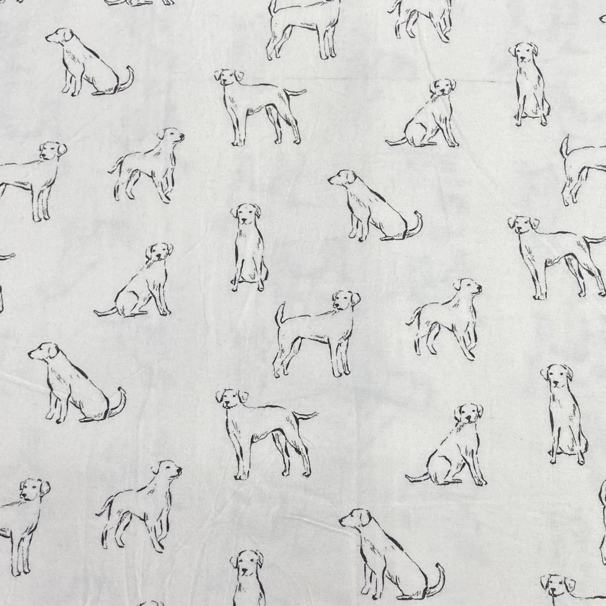Pound A Metre Per Metres Per Metre High Quality Brushed Cotton - 45" Wide (Drawing Dog)