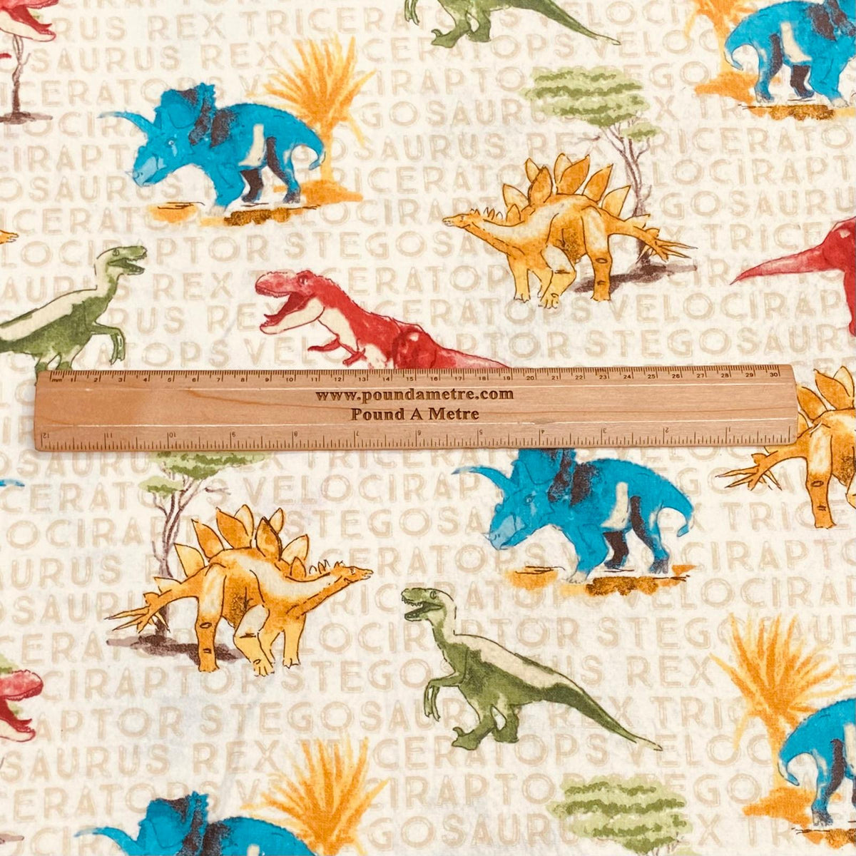 Pound A Metre Per Metre High Quality Brushed Cotton - 45" Wide (Stegosaurus)