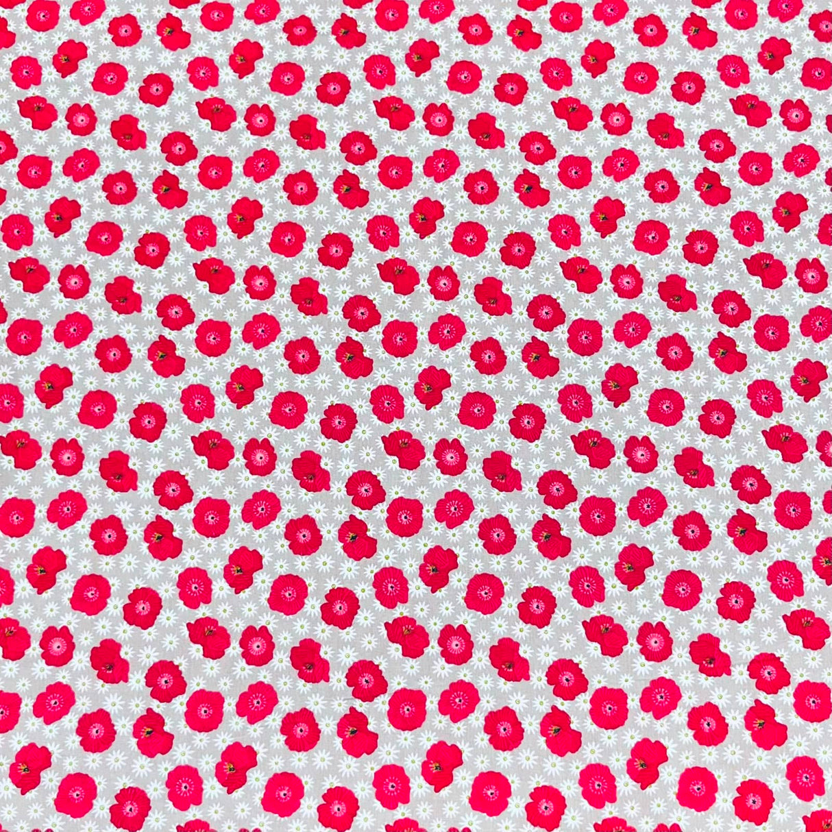 Pound A Metre Per Metre Premium Digital Cotton 45'' Wide (Rose)