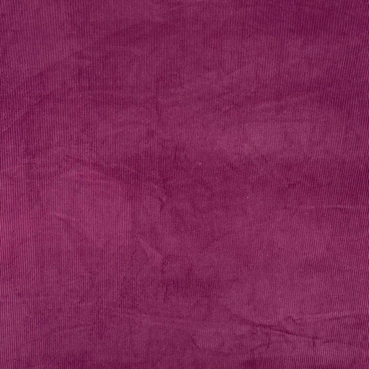 Pound A Metre Premium Super Soft Cotton Needle Corduroy- 55" Wide (Grape)