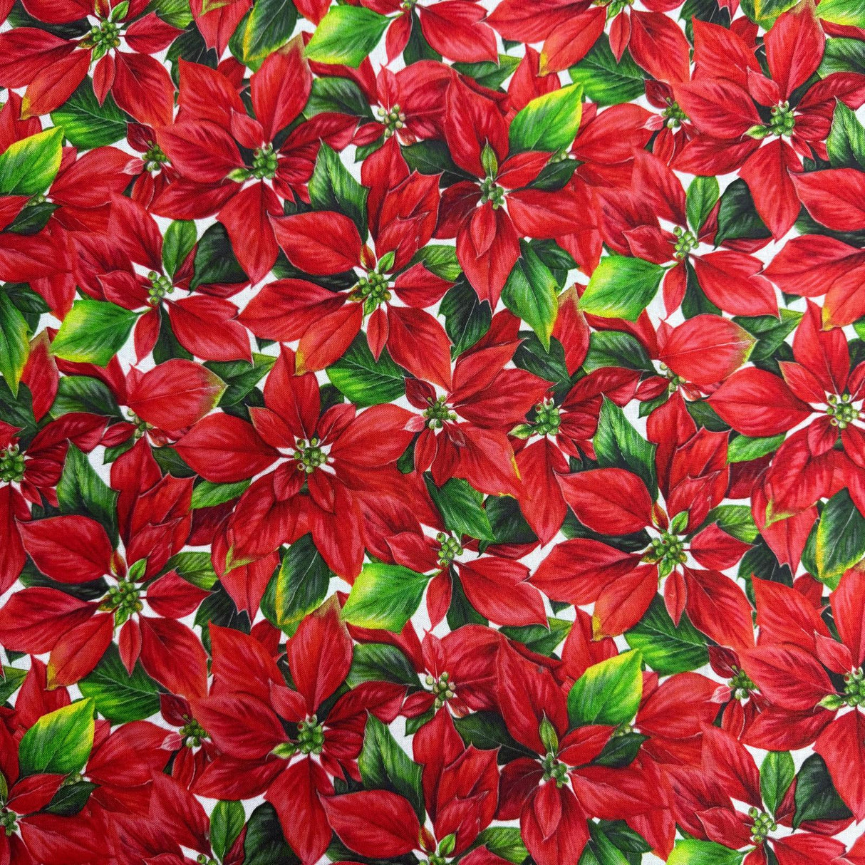 Pound A Metre 1 Metre Fat Quarter Bundle- 4 Pieces Per Bundle- (Fruit)