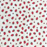 Pound A Metre 1 Metre Fat Quarter Bundle- 4 Pieces Per Bundle- (Fruit)