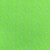 Pound A Metre 10 Metres, Floral Rachelle Lace - 45" Wide (Nylon Green)