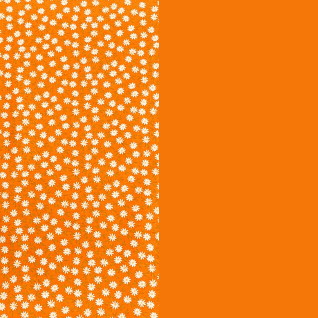 Pound A Metre 2 Metre Digitally Printed 100% Cotton Bundle- (Orange Flowers)