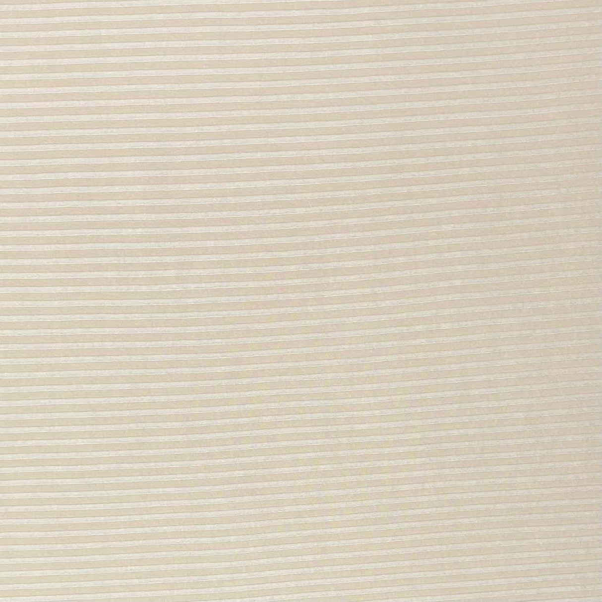 Pound A Metre 3 Metres 3 Metre Luxurious Soft Cord Jersey - 55" (Cord 2)