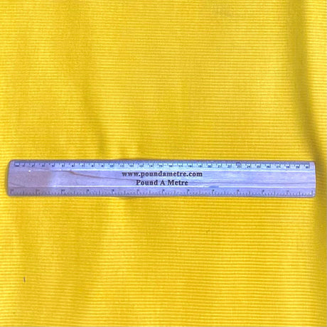 Pound A Metre 3 Metres 3 Metre Luxurious Soft Cord Jersey - 55" (Cord 25)