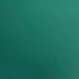 Pound A Metre 3 Metres 3 Metre Luxurious Soft Polyester Jersey - 55" (Emerald)