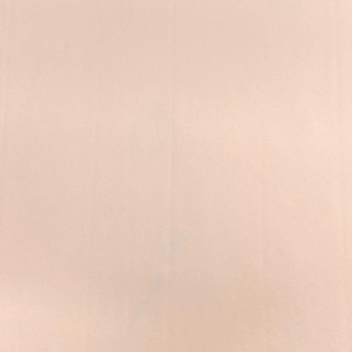 Pound A Metre 3 Metres 3 Metre Luxurious Soft Polyester Jersey - 55" (Peach)