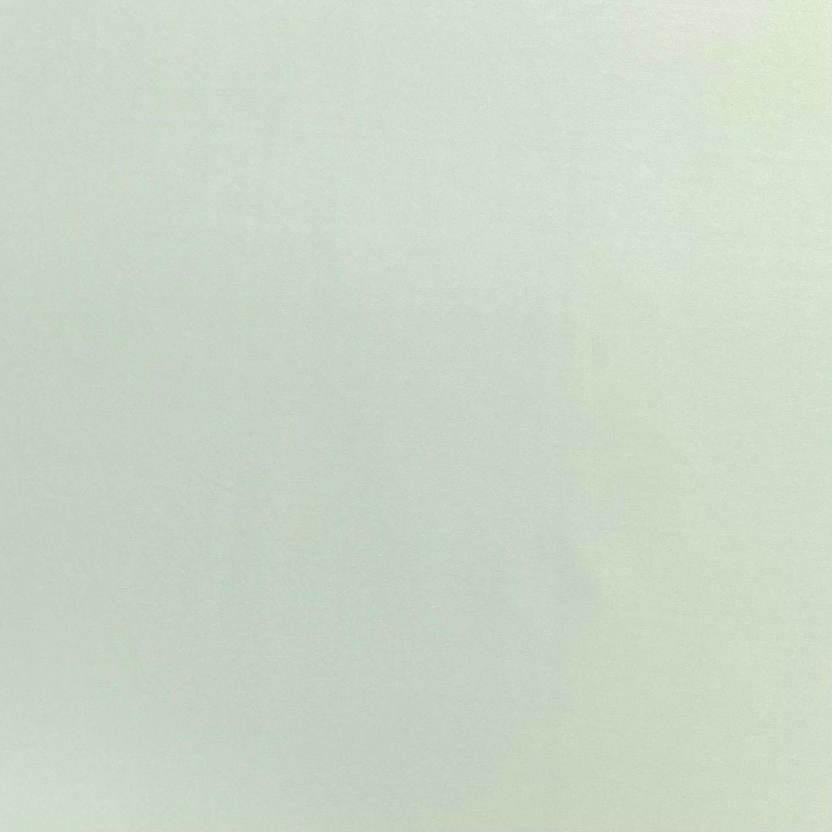 Pound A Metre 3 Metres 3 Metre Luxurious Soft Polyester Jersey - 55" (Sage)