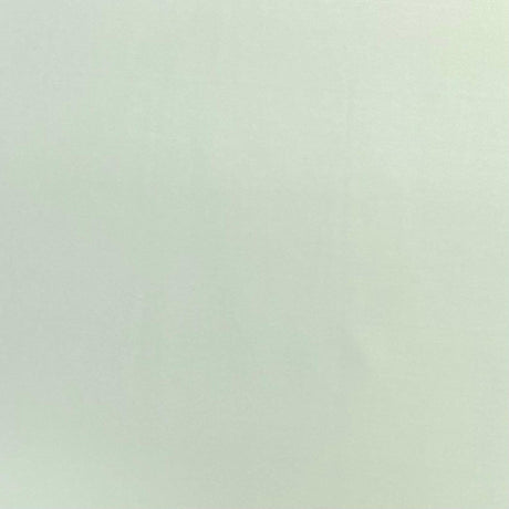 Pound A Metre 3 Metres 3 Metre Luxurious Soft Polyester Jersey - 55" (Sage)