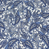 Pound A Metre 3 Metres 3 Metre Luxurious Soft Viscose Jersey - 55"- (Paisley)