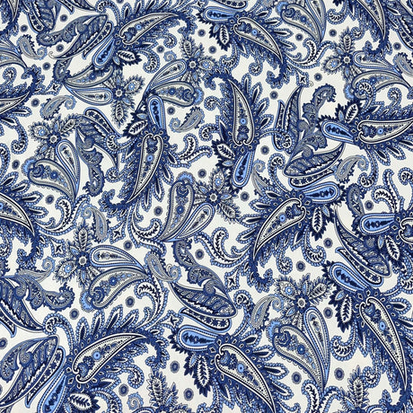 Pound A Metre 3 Metres 3 Metre Luxurious Soft Viscose Jersey - 55"- (Paisley)