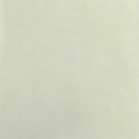 Pound A Metre 3 Metres 3 Metre Luxurious Soft Viscose Jersey - 55"- (Sage) (EOL)