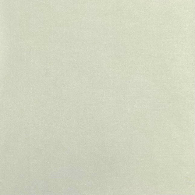 Pound A Metre 3 Metres 3 Metre Luxurious Soft Viscose Jersey - 55"- (Sage) (EOL)