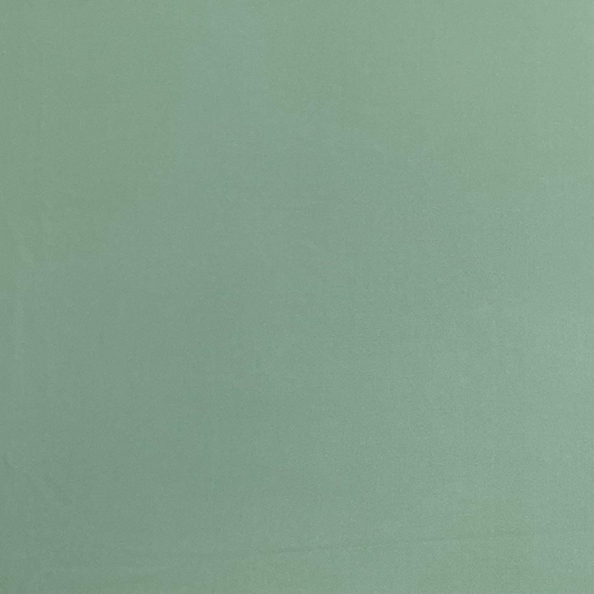 Pound A Metre 3 Metre Luxurious Super Soft Plain Jersey - 55"-  (Sage)