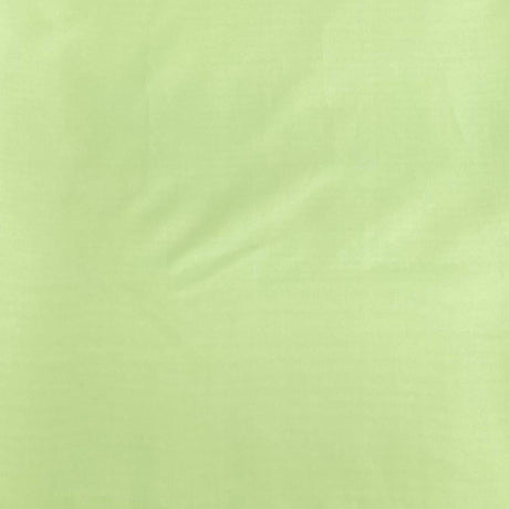 Pound A Metre 3 Metre Premium Soft Lining 55"  (Sage)