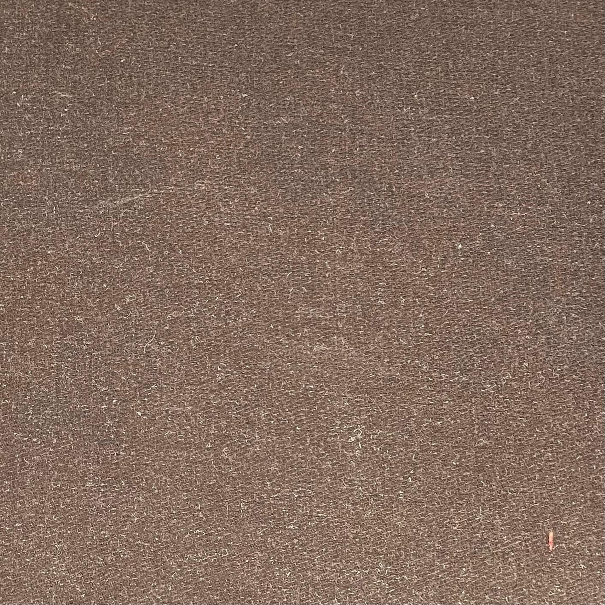 Pound A Metre 3 Metres 3 Metre Premium Wool Rich Fabric 55" Wide (Teddy)
