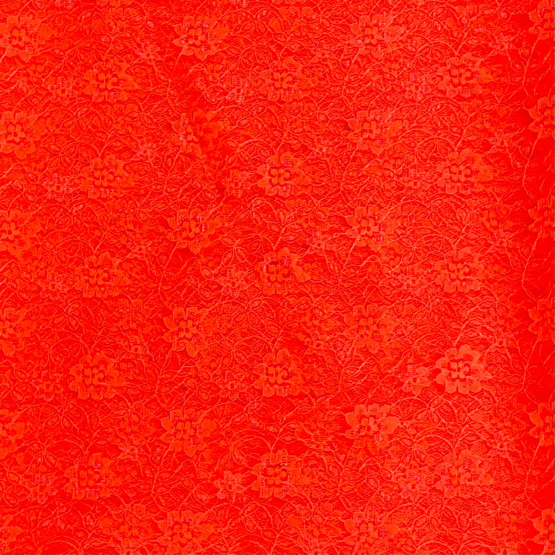 Pound A Metre 3 Metres 3 Metres Beautiful Rachelle Lace Fabric- 55" Wide (Nylon Orange)