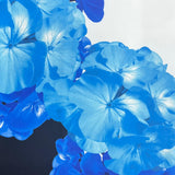 Pound A Metre 3 Metres Beautiful Textured Scuba Jersey- (Flower Pot)