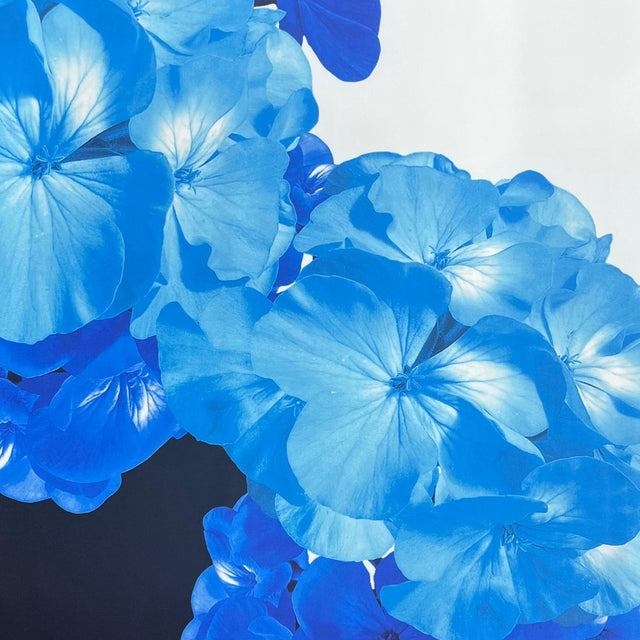 Pound A Metre 3 Metres Beautiful Textured Scuba Jersey- (Flower Pot)