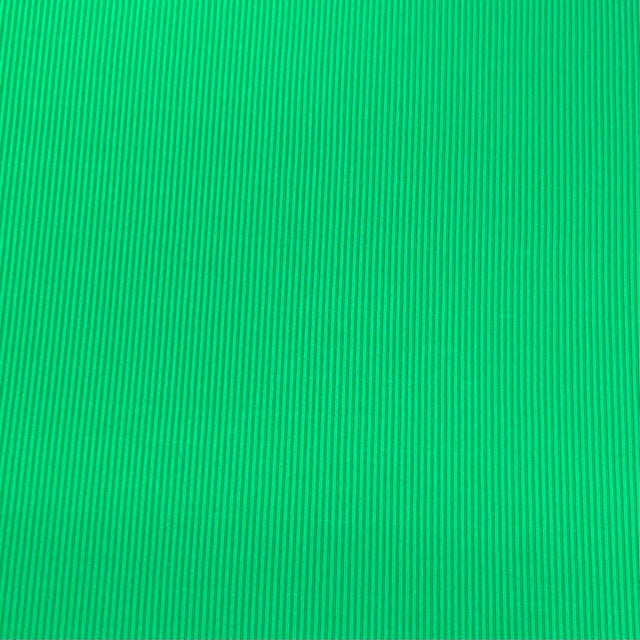 Pound A Metre 3 Metres Beautiful Textured Scuba Jersey- (Green)