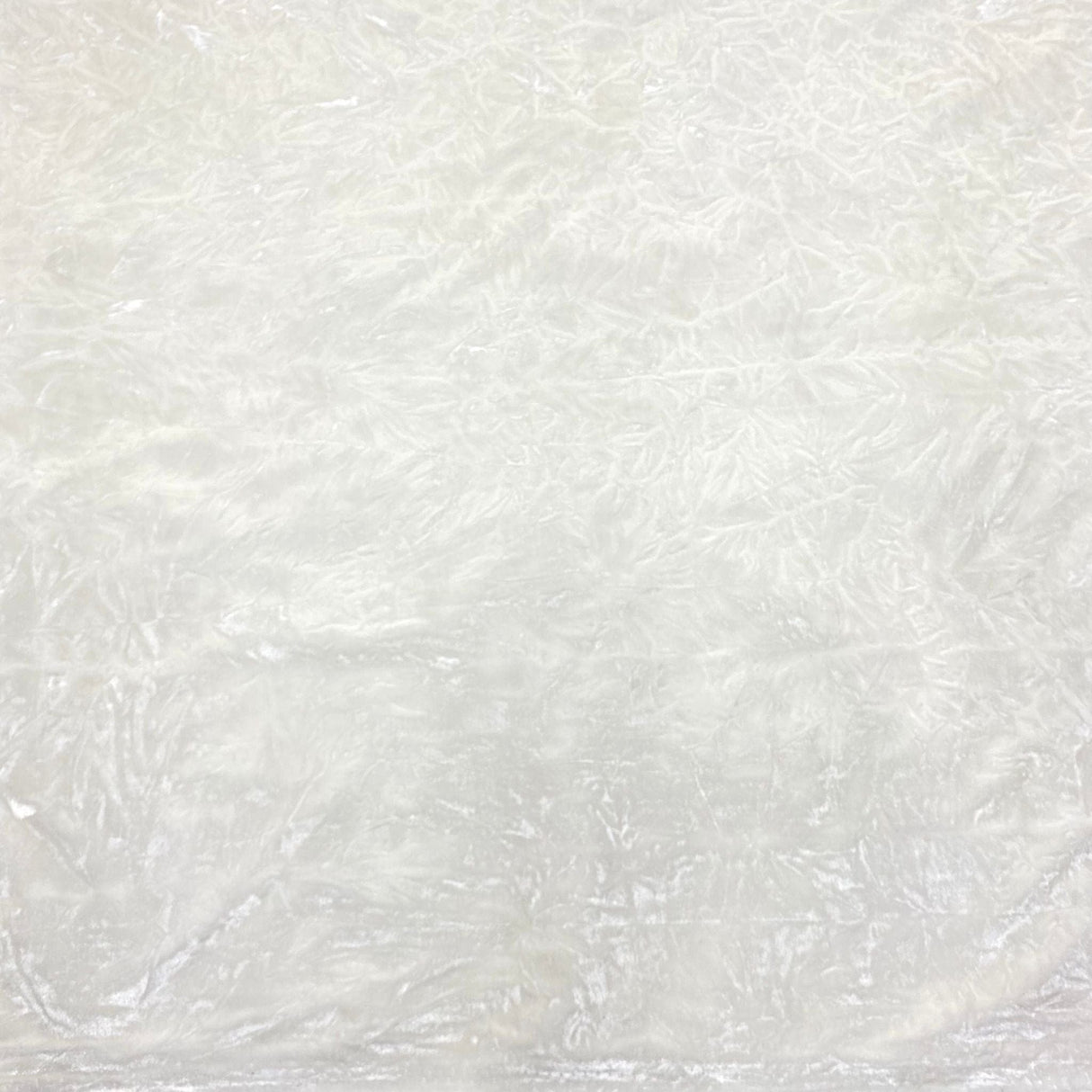 Pound A Metre 3 Metres 3 Metres Crushed Spandex Velvet 55" Wide (White)