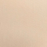 Pound A Metre 3 Metres 3 Metres Cut Out Satin Effect Jersey - 55"  (Beige)