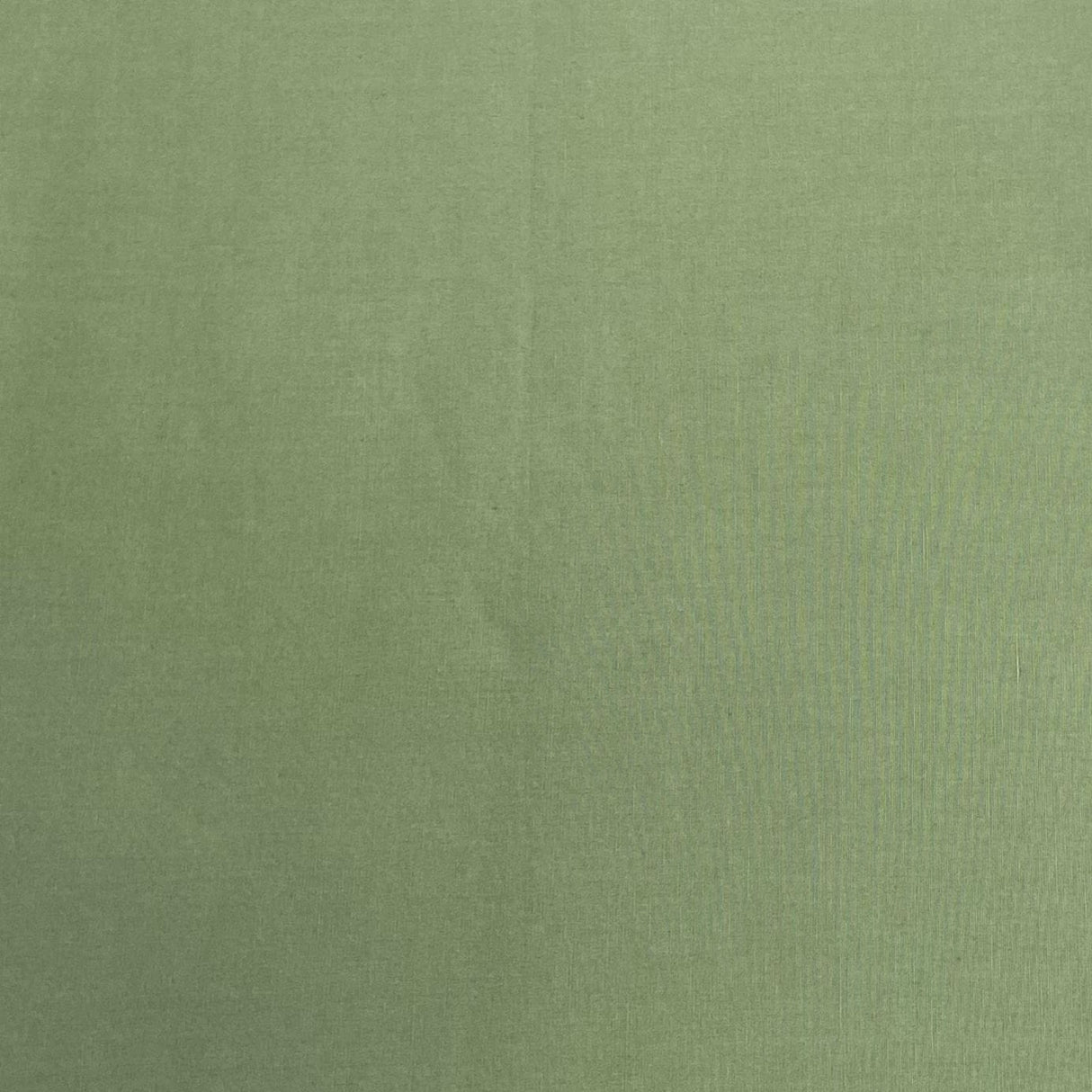 Pound A Metre 3 Metres, Heavy-Weight Cotton Brushed Sweatshirt Jersey 55” Wide - (Olive) (EOL)