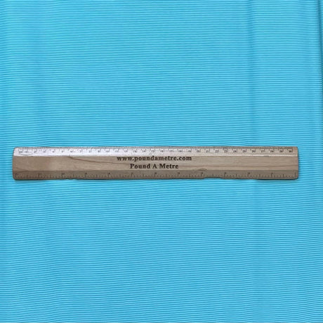 Pound A Metre 3 Metres Luxurious Fine Ribbed Jersey 55” Wide - (Sky)