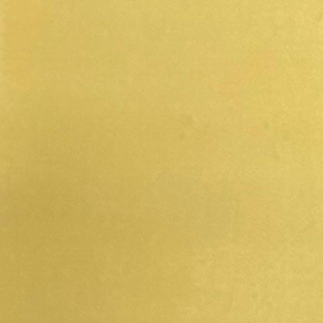 Pound A Metre 3 Metres Luxurious Plain Winter Viscose- 55'' - (Goldy Beige)