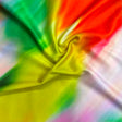 Pound A Metre 3 Metres Luxurious Polyester Jersey- 58'' Wide (Rainbow) (EOL)