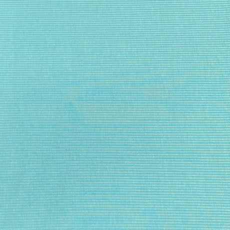 Pound A Metre 3 Metres Luxurious Ribbed Jersey 55” Wide - (Aqua) (EOL)