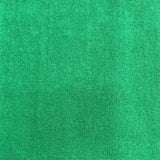 Pound A Metre 3 Metres 3 Metres Luxury Soft  Fleece Jersey - 55" Wide (Green) (EOL)