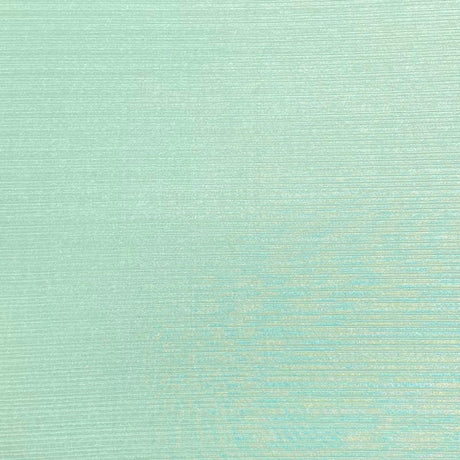Pound A Metre 3 Metres 3 Metres Luxury Soft Satin Jersey - 55" Wide (Mint Green) (EOL)