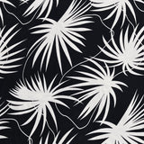 Pound A Metre 3 Metres, Premium Cotton-Feel Jersey Fabric – 55” Wide (Black & White)