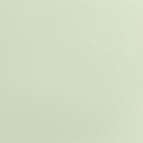 Pound A Metre 3 Metres Premium Lightweight Sports Jersey Fabric – 55" Wide (Sage)