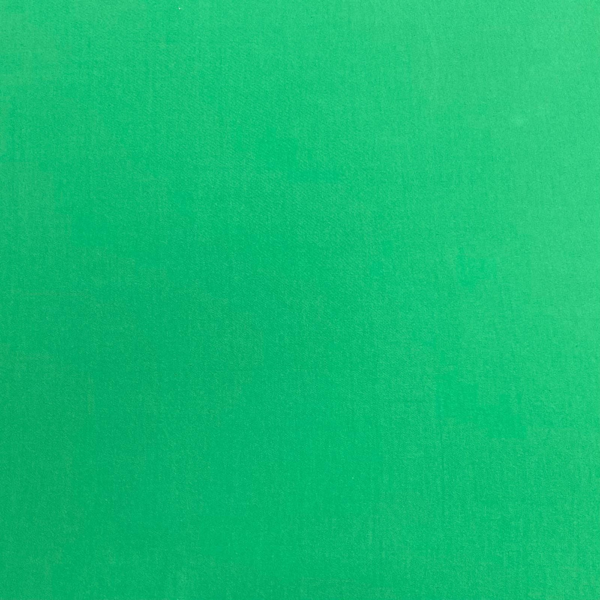 Pound A Metre 3 Metres Premium Quality Soft Cotton Jersey 55" Wide (Green)
