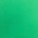 Pound A Metre 3 Metres Premium Quality Soft Cotton Jersey 55" Wide (Green)