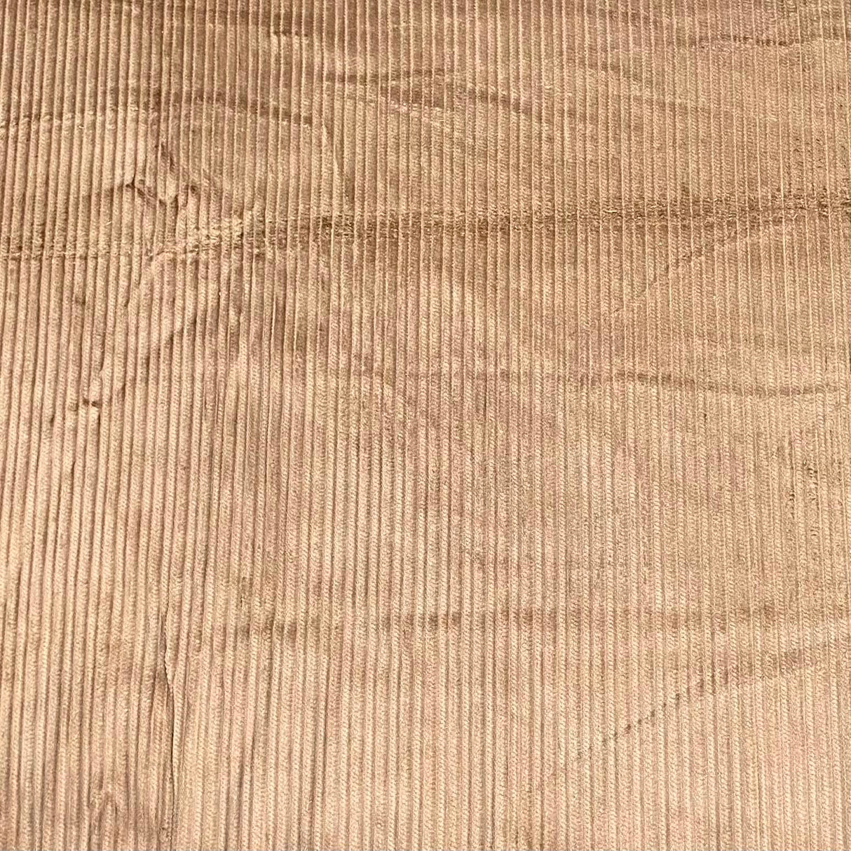 Pound A Metre 3 Metres 3 Metres Premium Super Soft Cotton Needle Corduroy- 55" Wide (Gold) (EOL)