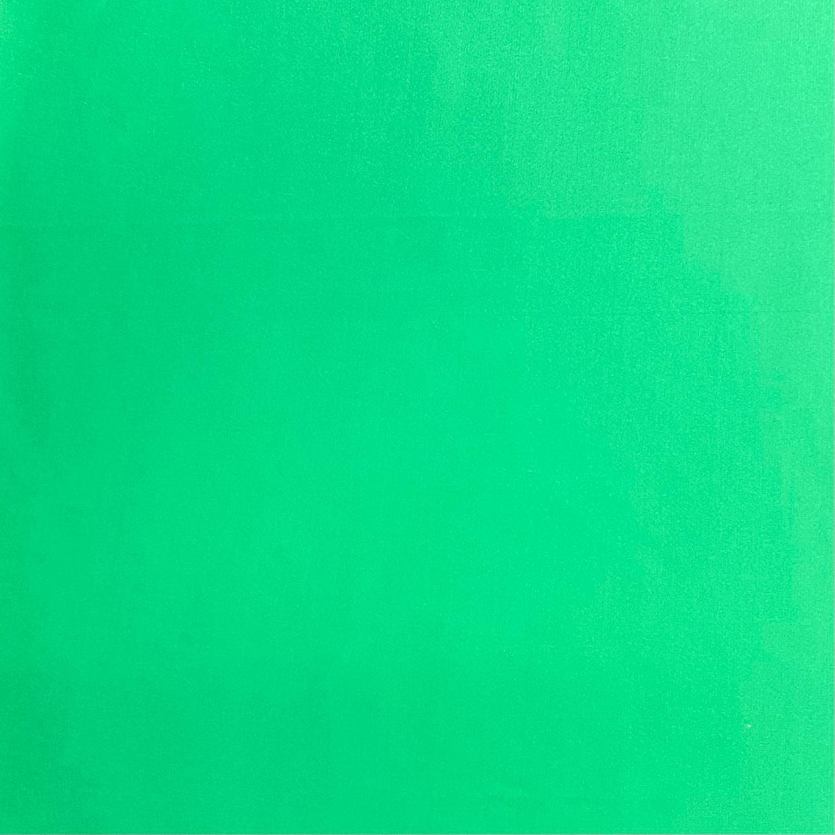 Pound A Metre 3 Metres 3 Metres Premium Wet Look Jersey - 55" wide (Green) (EOL)