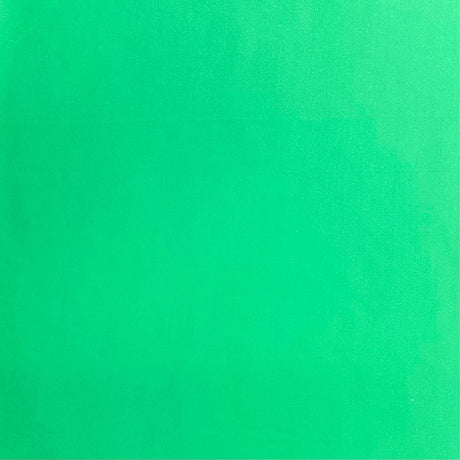 Pound A Metre 3 Metres 3 Metres Premium Wet Look Jersey - 55" wide (Green) (EOL)