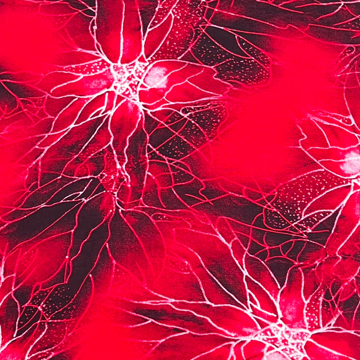 Pound A Metre 3 Metres Printed Dressmaking Viscose Fabric – 55" Wide (Red)