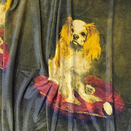 Pound A Metre 3 Metres 3 Metres Printed Spandex Velvet 55" Wide (DF116)